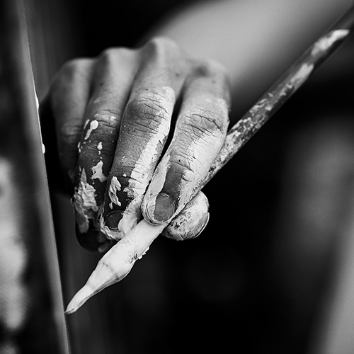 Sakura, fleurs de vie