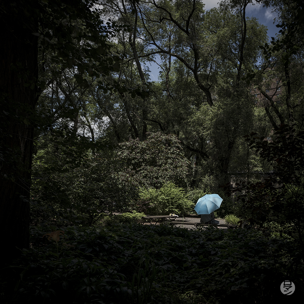 Parapluie dans un parc à New York, USA, photographie de Romain Guélat