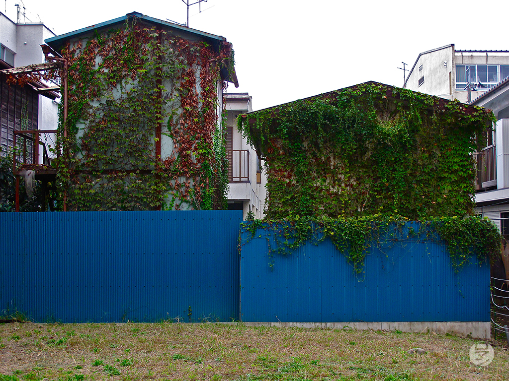 Rue de Tokyo, Japon, photographie de Romain Guélat