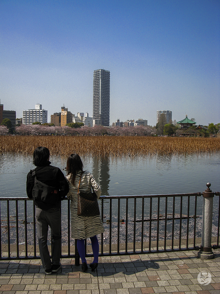 Rue de Tokyo, Japon, photographie de Romain Guélat