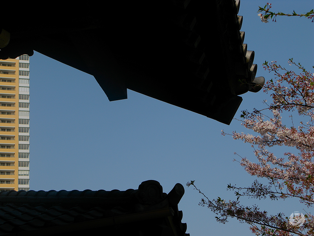 Rue de Tokyo, Japon, photographie de Romain Guélat