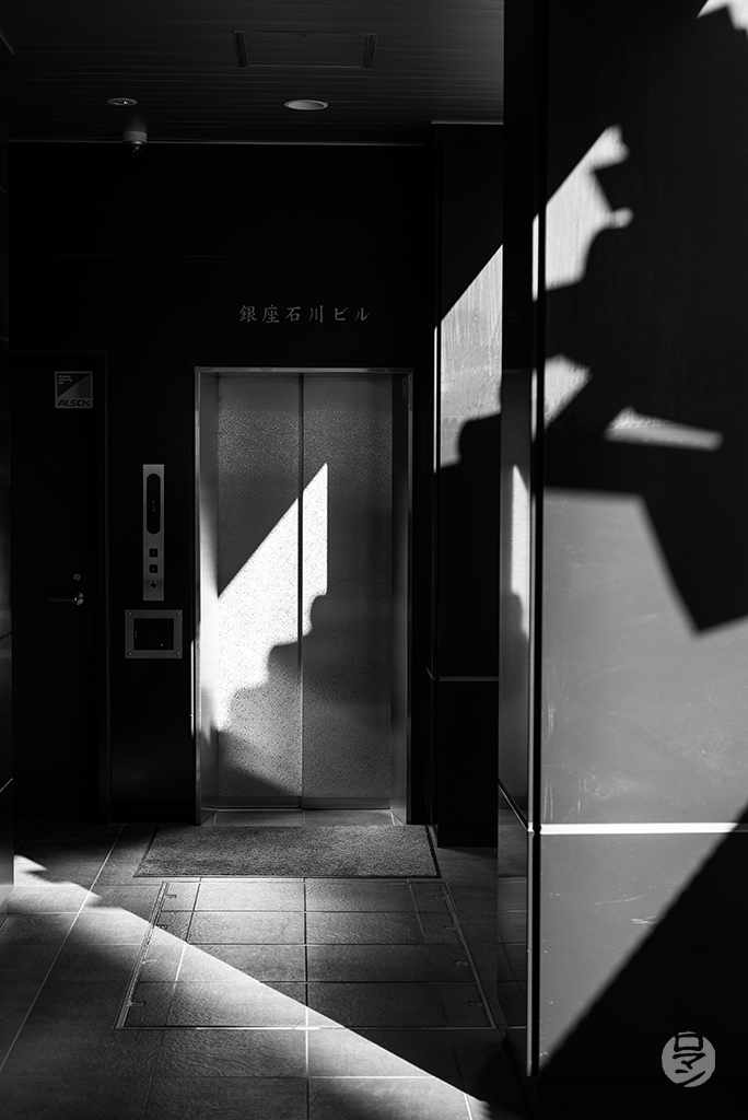 Rue de Tokyo, Japon, photographie de Romain Guélat