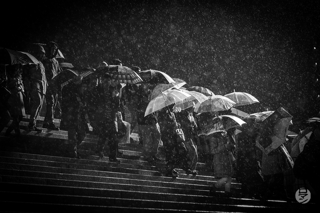 Parapluies à Tokyo la nuit, Japon, photographie de Romain Guélat