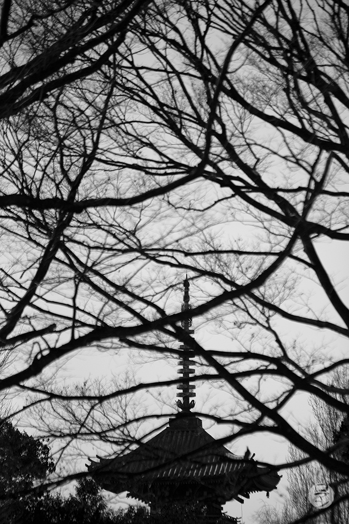 Pagode japonaise à Ueno, Japon, photographie de Romain Guélat